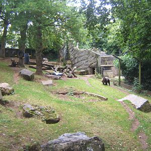 View of European Brown Bear enclosure