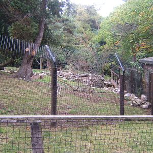 Old Otter enclosure now home to Red-necked Wallaby