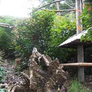 View of Himalayan Bird Aviary