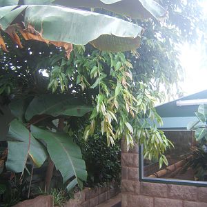 View inside Reptile House