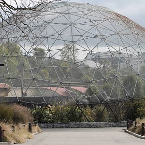 Caroline Bay aviary, Timaru