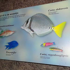 Sea of Cortez signage