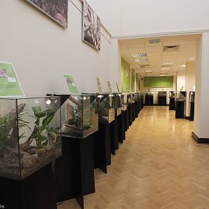 View of Half of the Exhibit - 'The Fascinating World of Spiders and Scorpio