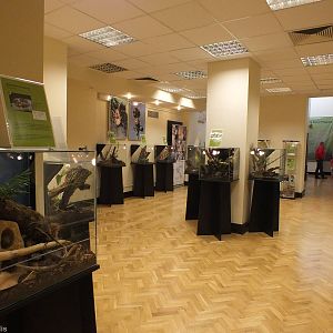 View of the Other Half of the Exhibit- 'The Fascinating World of Spiders an