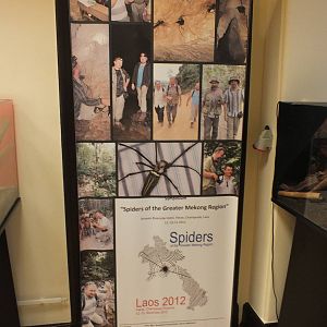 Spiders of The Greater Mekong Region Sign - 'The Fascinating World of Spide