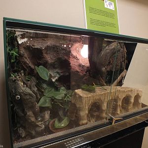 Example Enclosure - 'The Fascinating World of Spiders and Scorpions' Exhibi