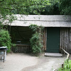 Lion-tailed macaque indoor exhibit