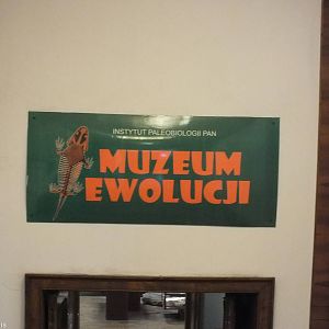Entrance Sign Going Down into Basement - Warsaw Museum of Evolution