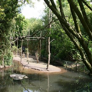first viewpoint of the New Binturong and  Asian smal-clawed otter exhibit