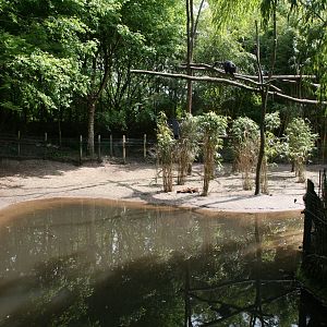 Second viewpoint of the new Binturong and Asian smal-clawed otter exhibit