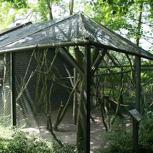 White-faced saki exhibit