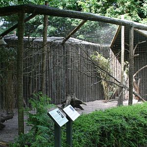 kookaburra and Long-nosed potoroo exhibit