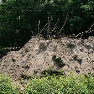 exhibits under construction