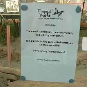 Notice On Meerkats