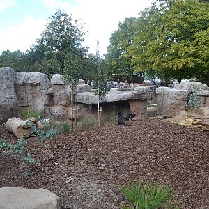 Copenhagen Zoo, Sep. 27th 2015