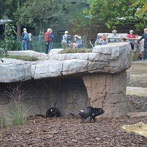 Copenhagen Zoo, Sep. 27th 2015