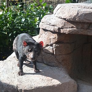Copenhagen Zoo, Sep. 27th 2015