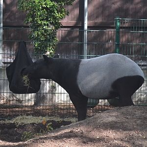 Copenhagen Zoo, Sep. 27th 2015