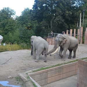 Copenhagen Zoo, Sep. 27th 2015