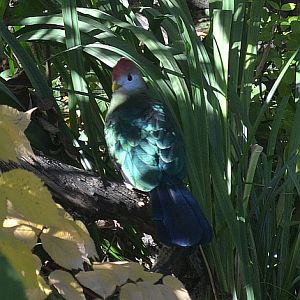 Copenhagen Zoo, Sep. 27th 2015