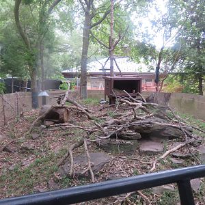 9/27/15 - North American Porcupine Exhibit