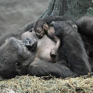 Kamba and Zachary 9/26/15