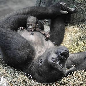 Kamba and Zachary 9/26/15