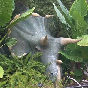 9/27/15 - Uncle Beazley