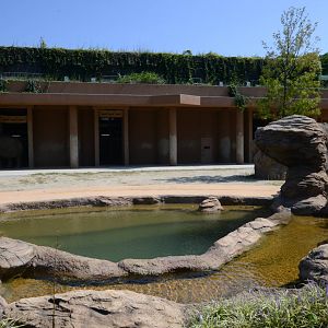 Asian elephant exhibit