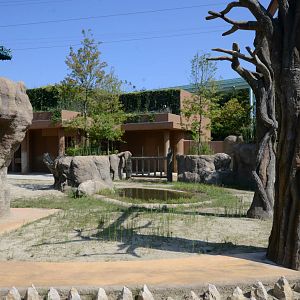 Asian elephant exhibit