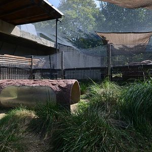 Volcano rabbit enclosure