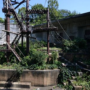 Chimpanzee exhibit