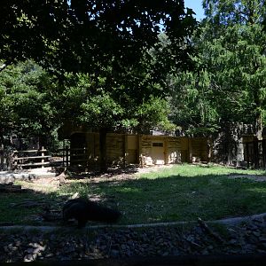 Giant anteater exhibit