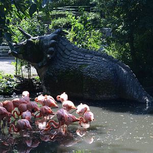 Flamingo exhibit
