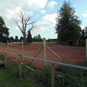 New Development on Boreray Sheep site