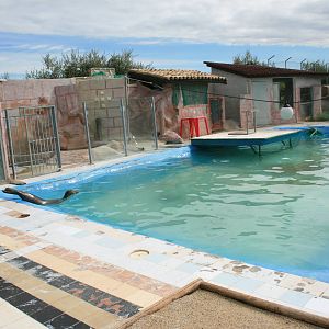 seal and sea lion pool