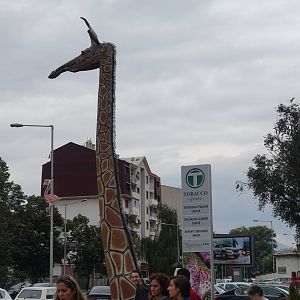 Skopje Zoo 26.9.15