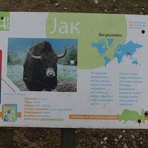 Skopje Zoo 26.9.15