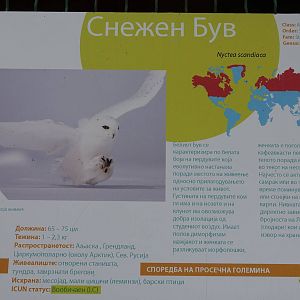 Skopje Zoo 26.9.15