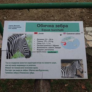 Skopje Zoo 26.9.15