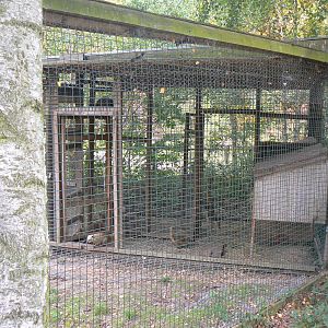 View Of Part Of the Coati Enclosure