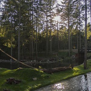 Grote Wildernis Panorama