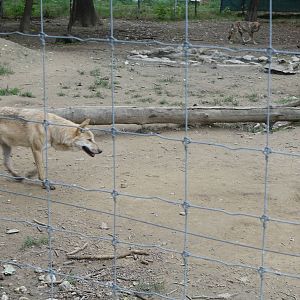 Skopje Zoo 26.9.15