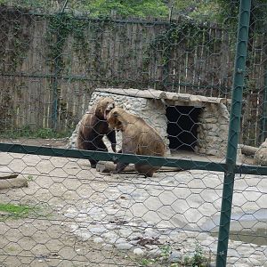 Skopje Zoo 26.9.15