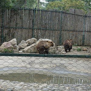 Skopje Zoo 26.9.15
