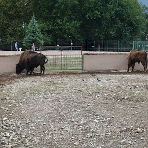 Skopje Zoo 26.9.15