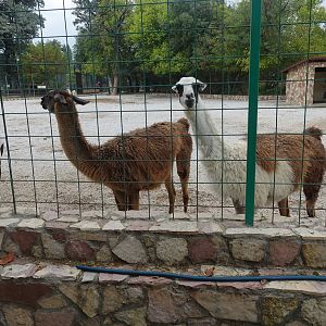 Skopje Zoo 26.9.15