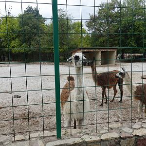 Skopje Zoo 26.9.15