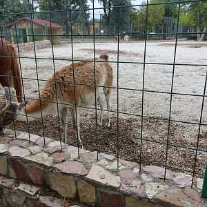 Skopje Zoo 26.9.15