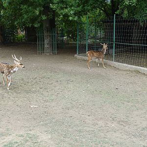 Skopje Zoo 26.9.15